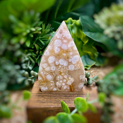 Flower Agate - 3.2" Freeform