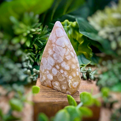 Flower Agate - 3.2" Freeform