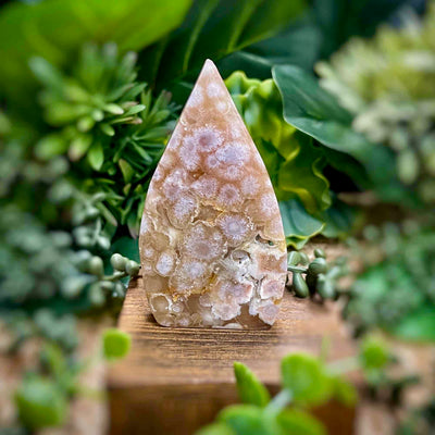 Flower Agate - 3.5" Freeform