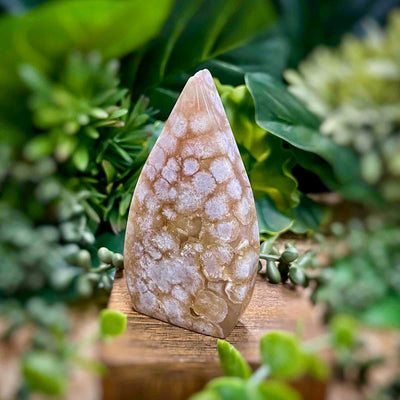 Flower Agate - 3.5" Freeform