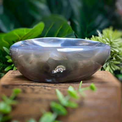 Orca Agate - Bowl