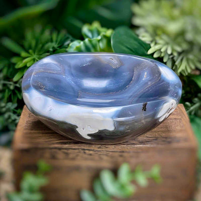 Orca Agate - Bowl