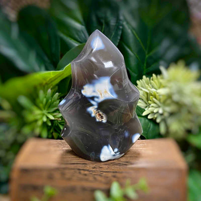 Orca Agate - Flame