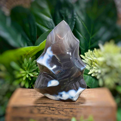 Orca Agate - Flame