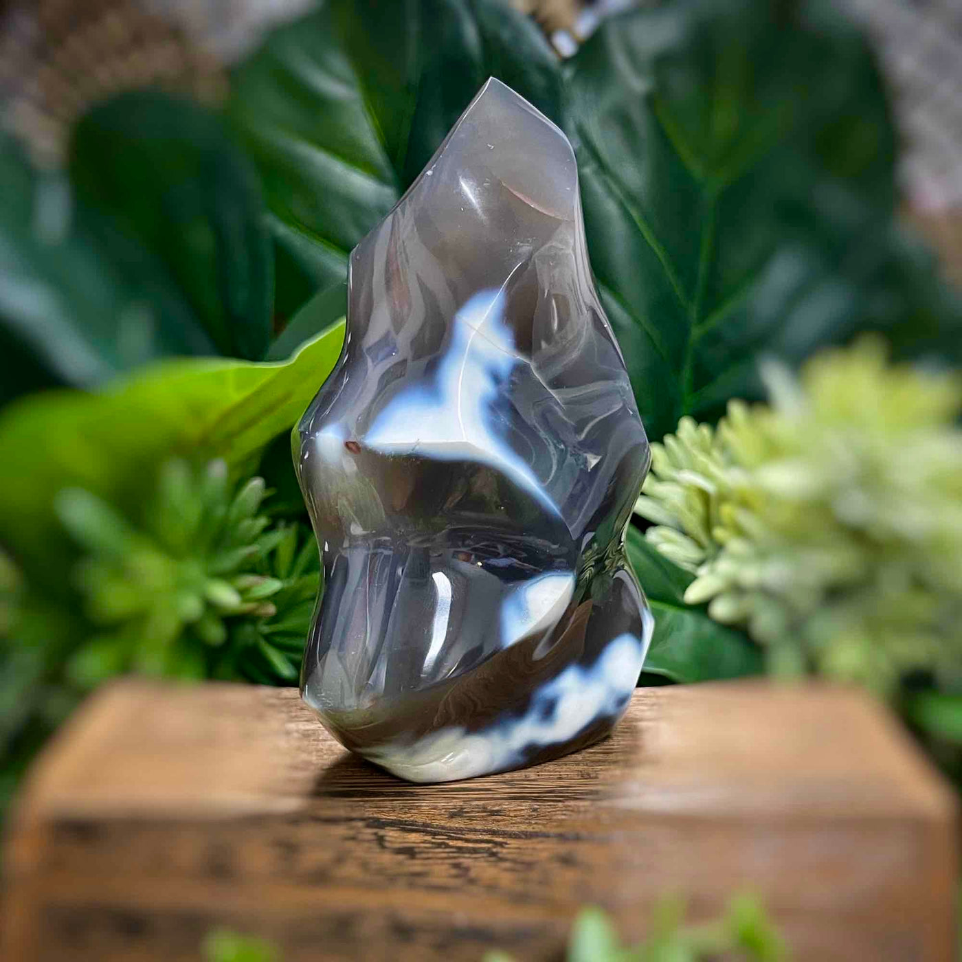 Orca Agate - Flame
