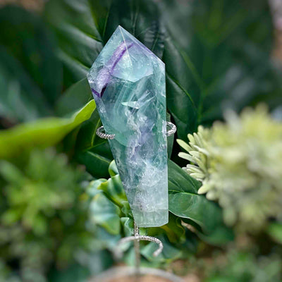 Fluorite - Wand