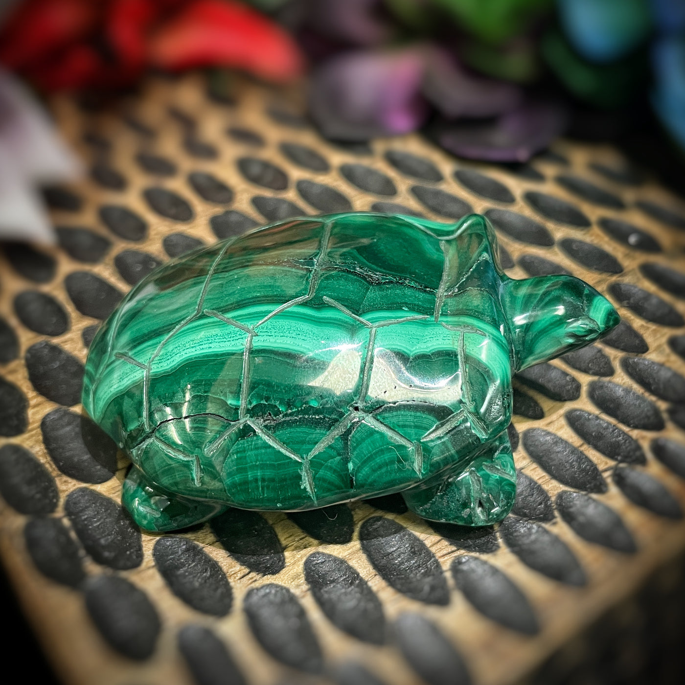 Malachite - Frog - Turtle