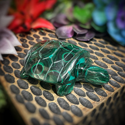 Malachite - Frog - Turtle