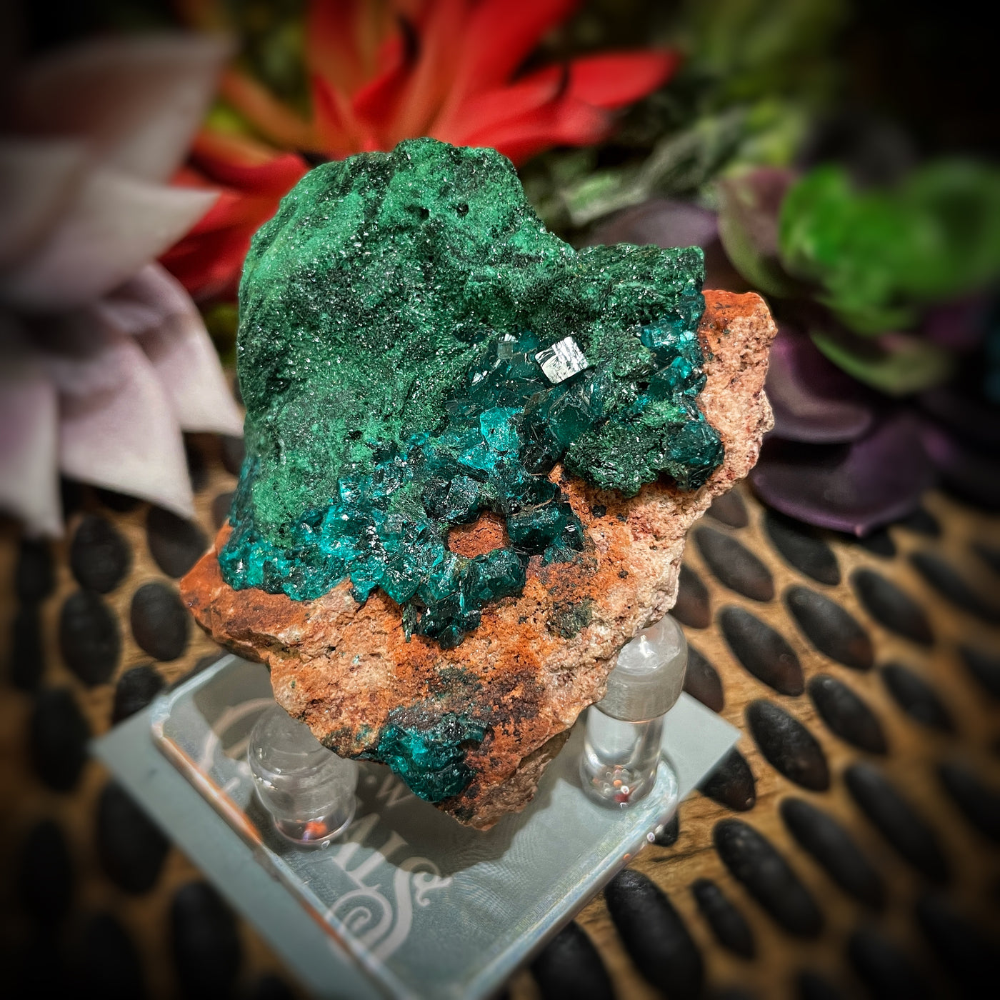 Dioptase - Specimen