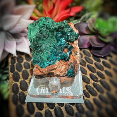 Dioptase - Specimen