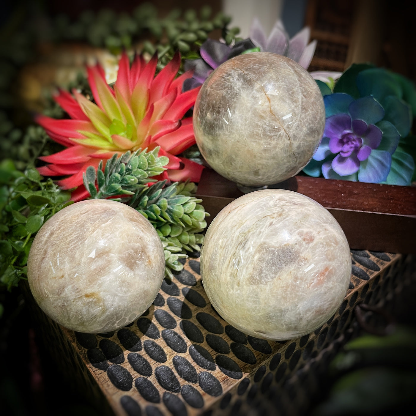 Moonstone - Multi Sizes - Sphere