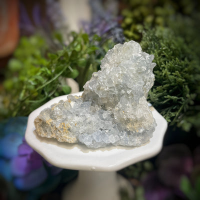 Celestite Cluster  -  2.0" - 2.5"