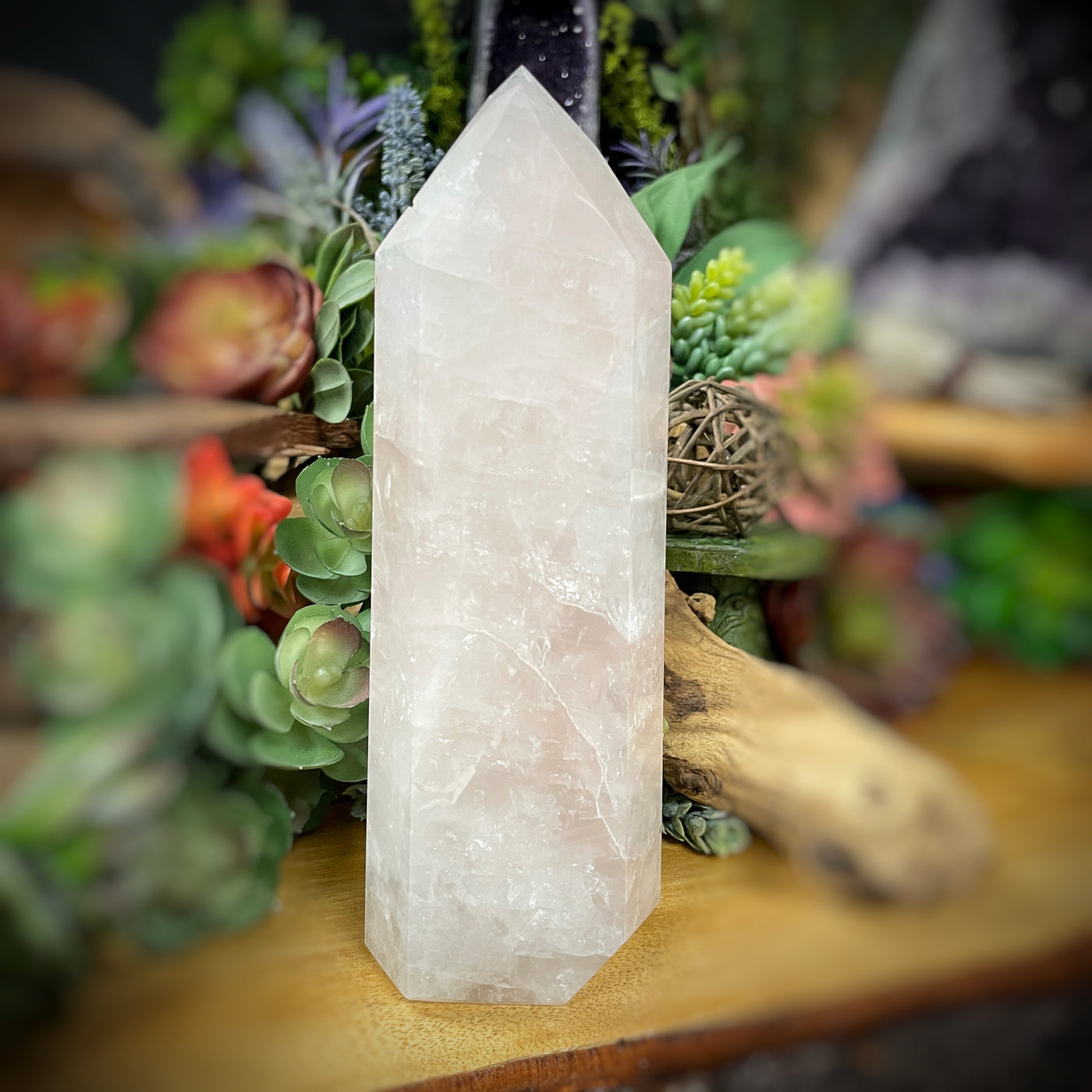 Rose Quartz - Point, Tower, Obelisk - b829 - 8"