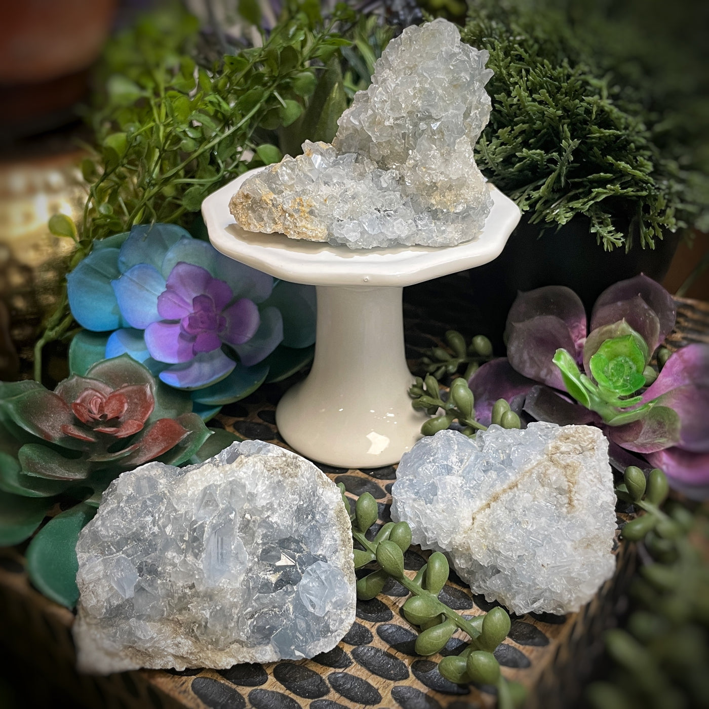 Celestite Cluster  -  2.0" - 2.5"