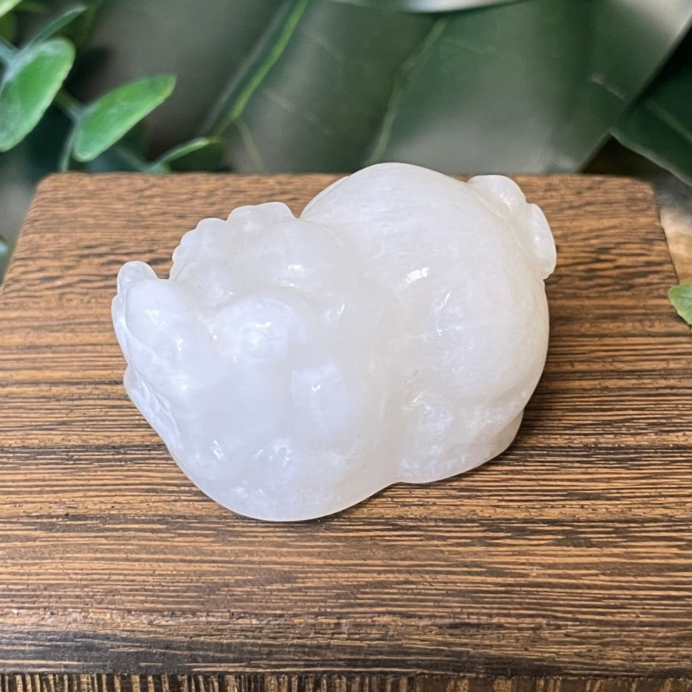Pixiu – Moonstone Medium