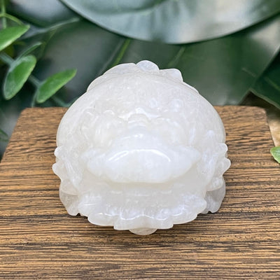 Dragon Turtle – Moonstone Medium