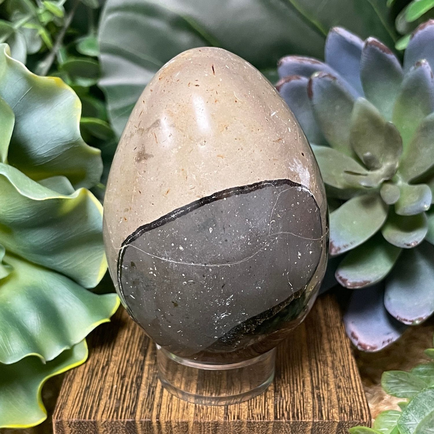 Septarian - Egg