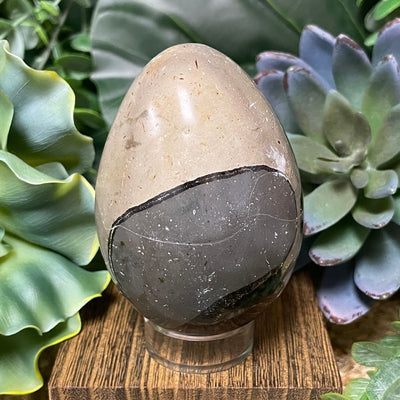 Septarian - Egg