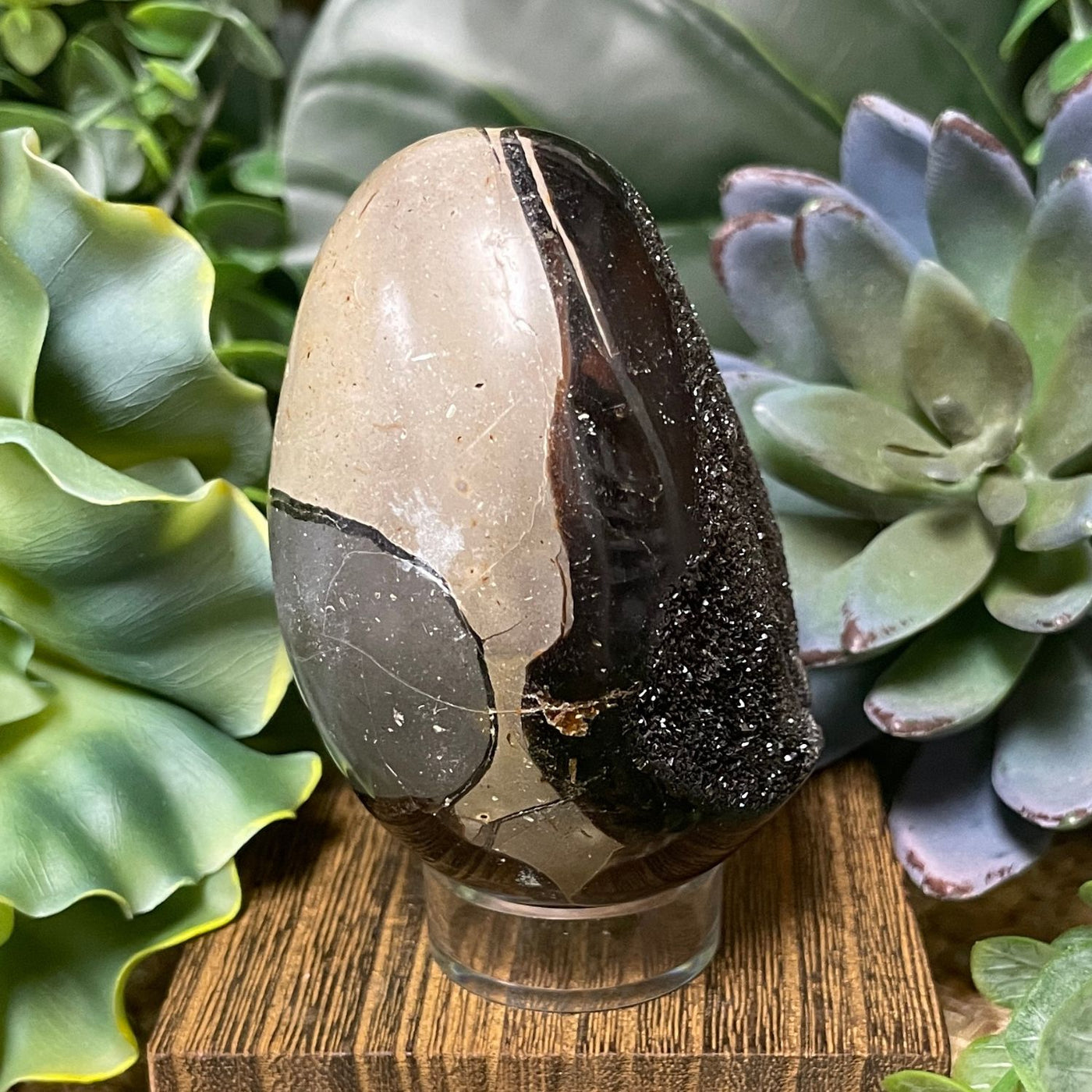 Septarian - Egg