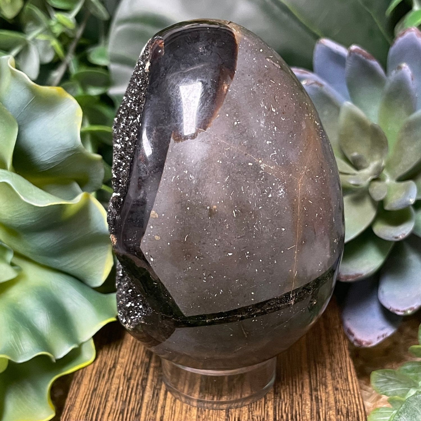 Septarian - Egg