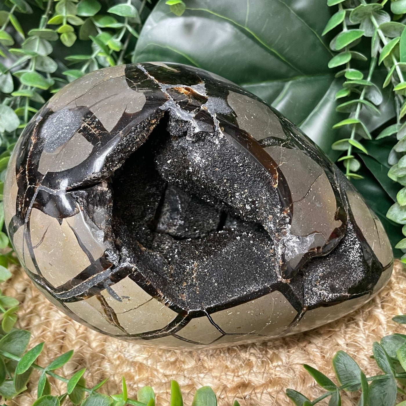 Septarian - Egg