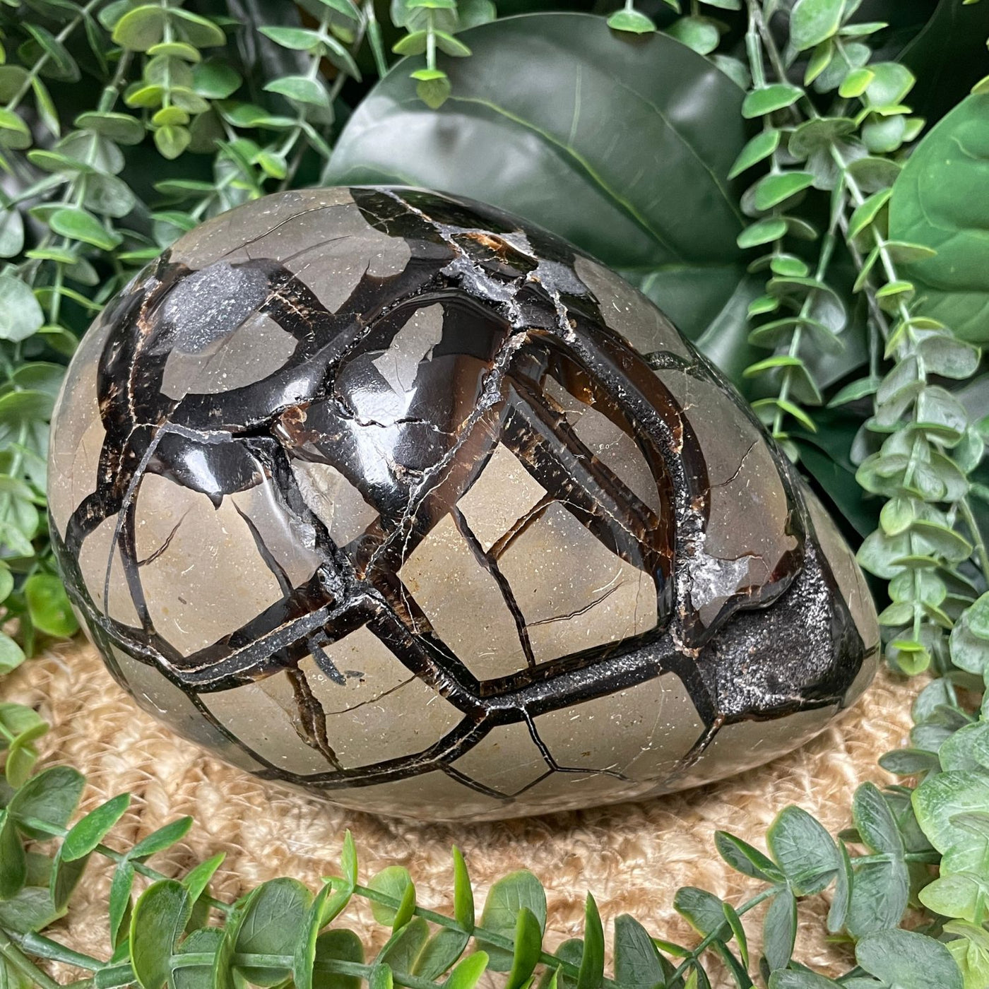 Septarian - Egg