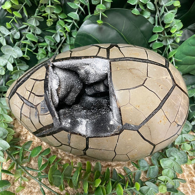 Septarian - Egg