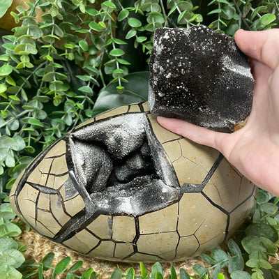 Septarian - Egg