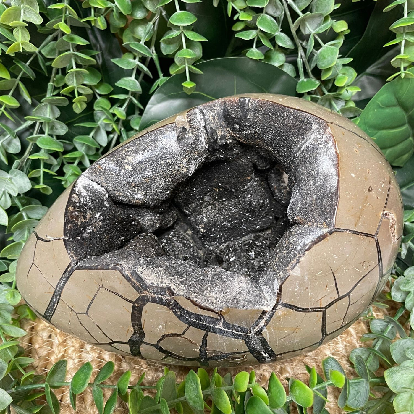 Septarian - Egg
