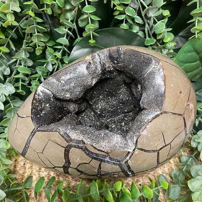 Septarian - Egg