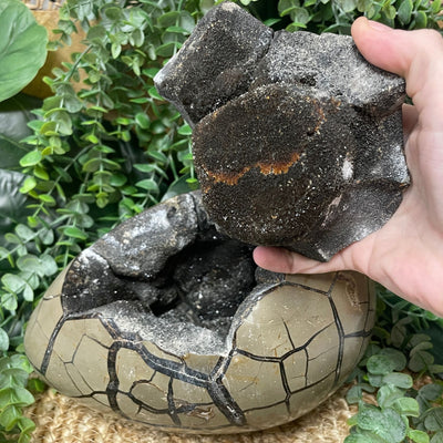 Septarian - Egg