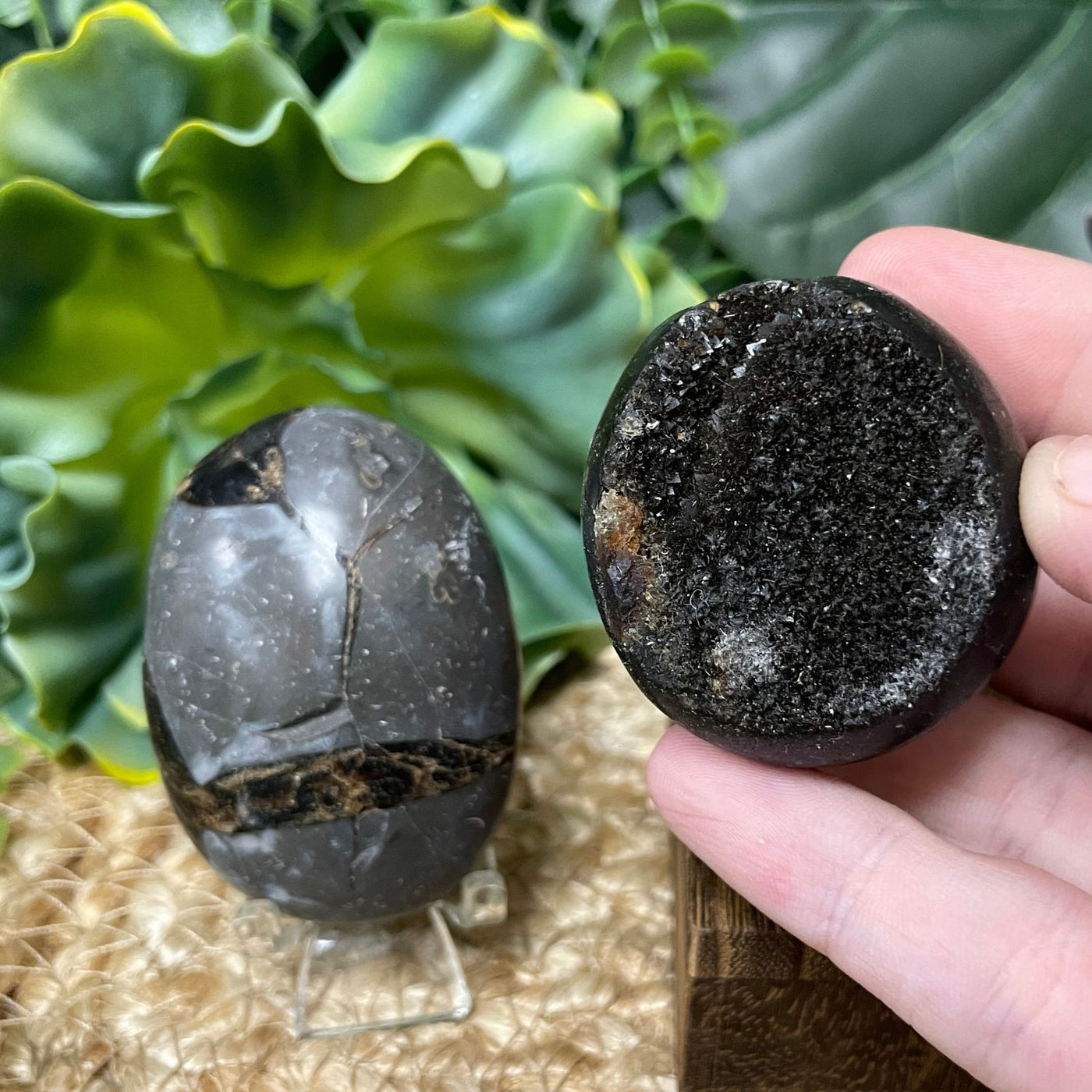 Septarian - Palm Stone