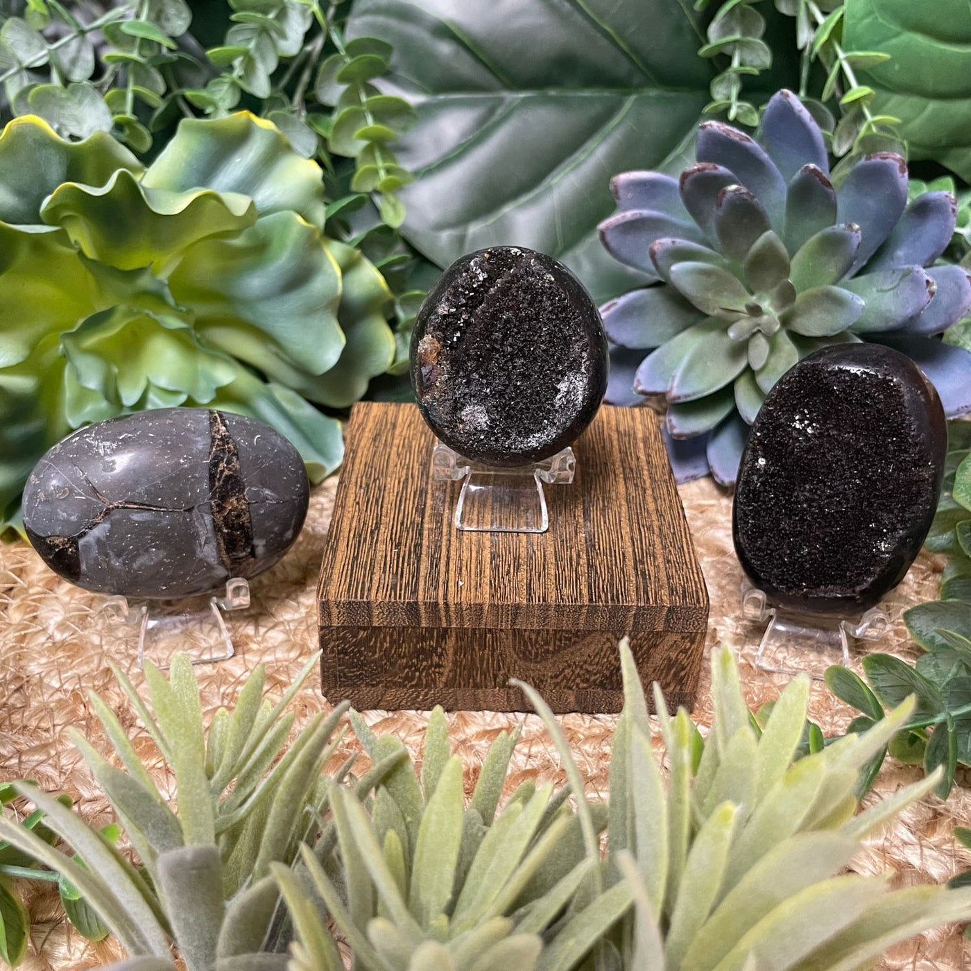 Septarian - Palm Stone