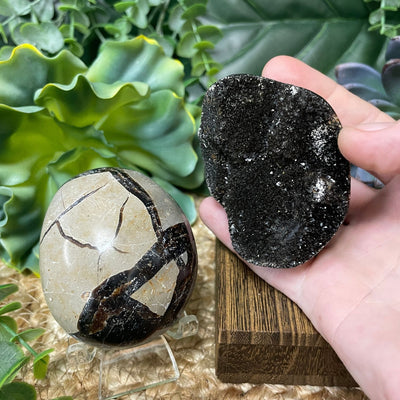 Septarian - Palm Stone
