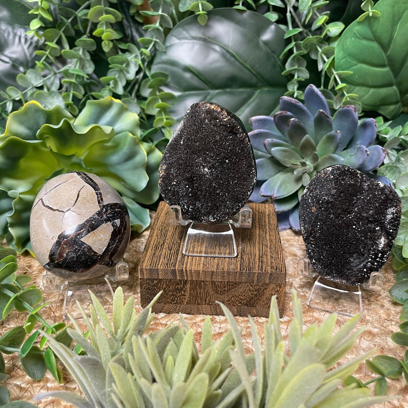 Septarian - Palm Stone