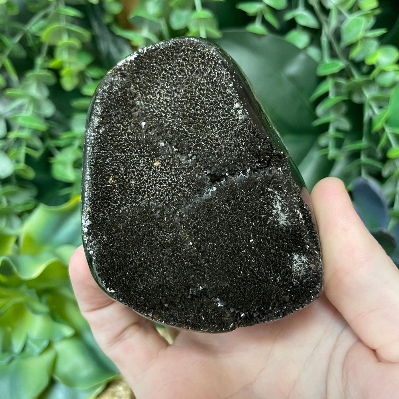 Septarian - Palm Stone