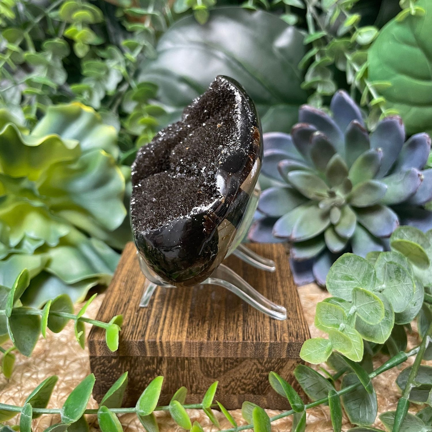 Septarian - Palm Stone