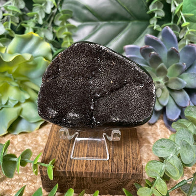 Septarian - Palm Stone