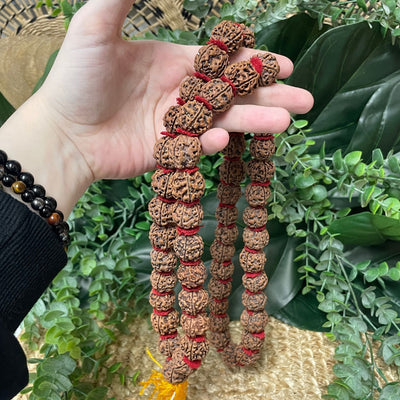 Rudraksha Mala / Necklace - Mala/Necklace