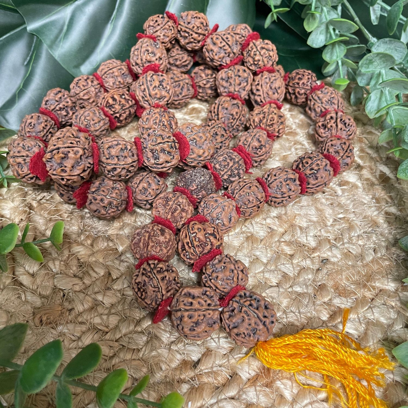 Rudraksha Mala / Necklace - Mala/Necklace