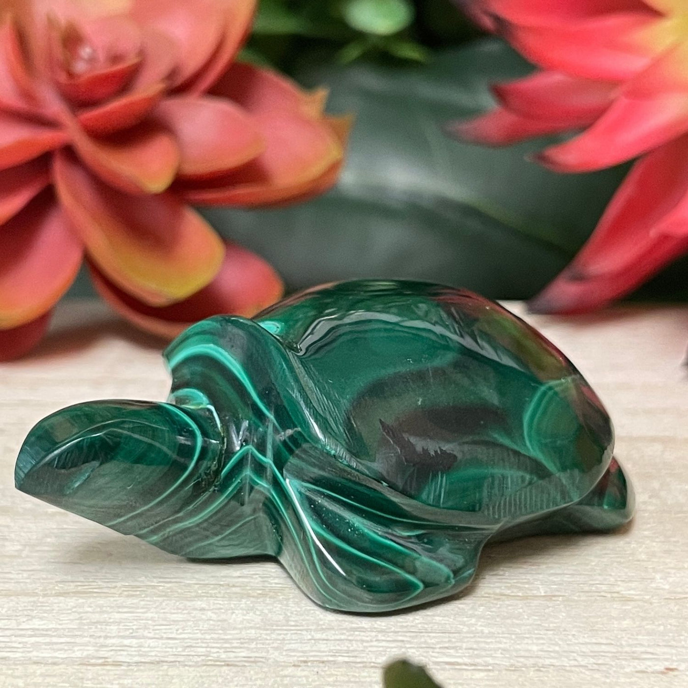 Malachite - Turtle
