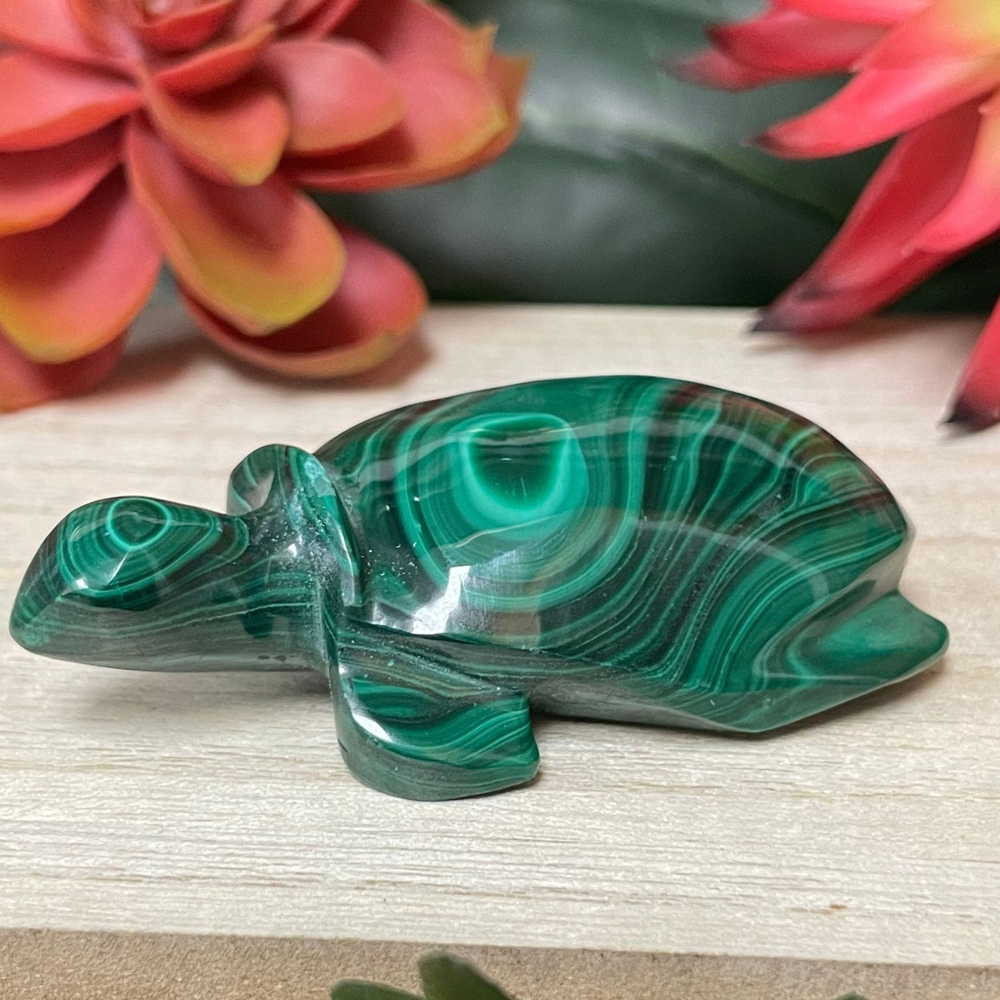 Malachite - Turtle