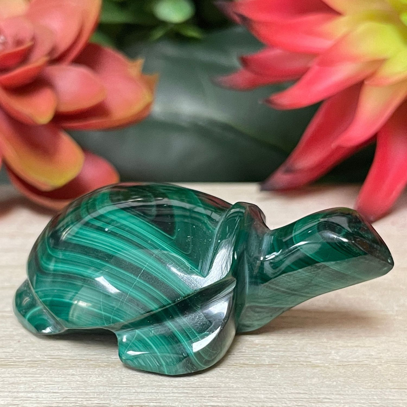 Malachite - Turtle