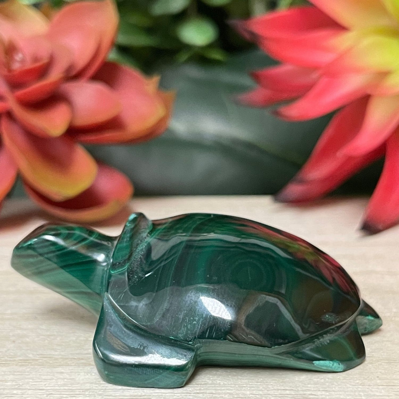 Malachite - Turtle
