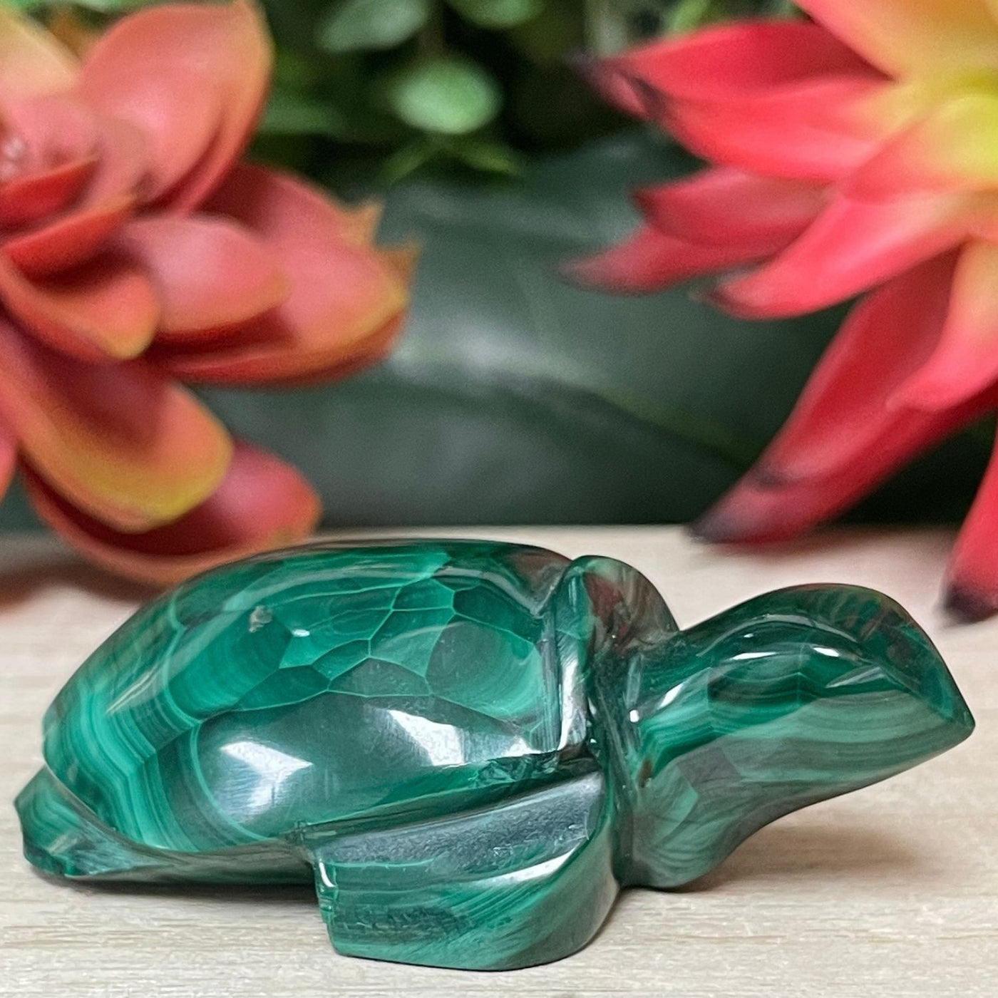 Malachite - Turtle