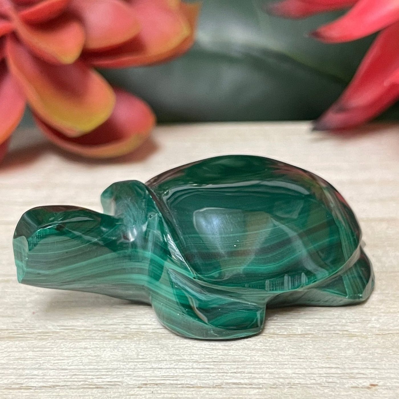 Malachite - Turtle