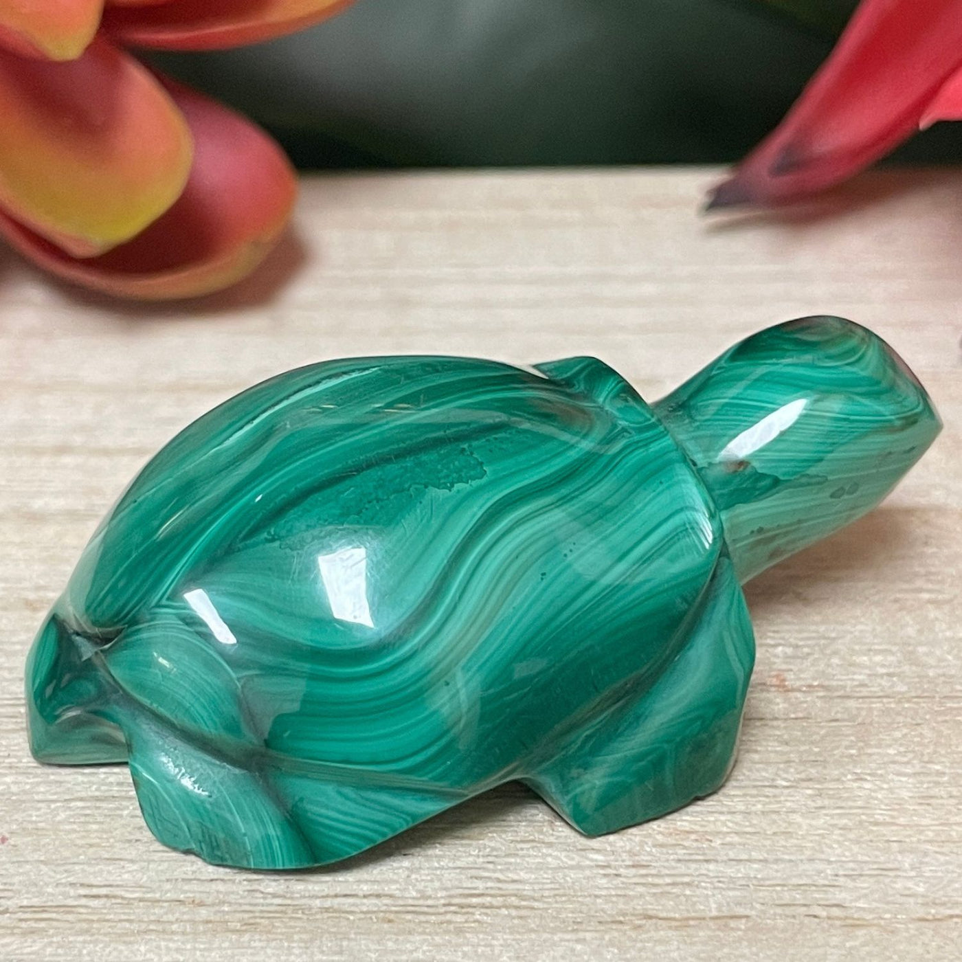 Malachite - Turtle