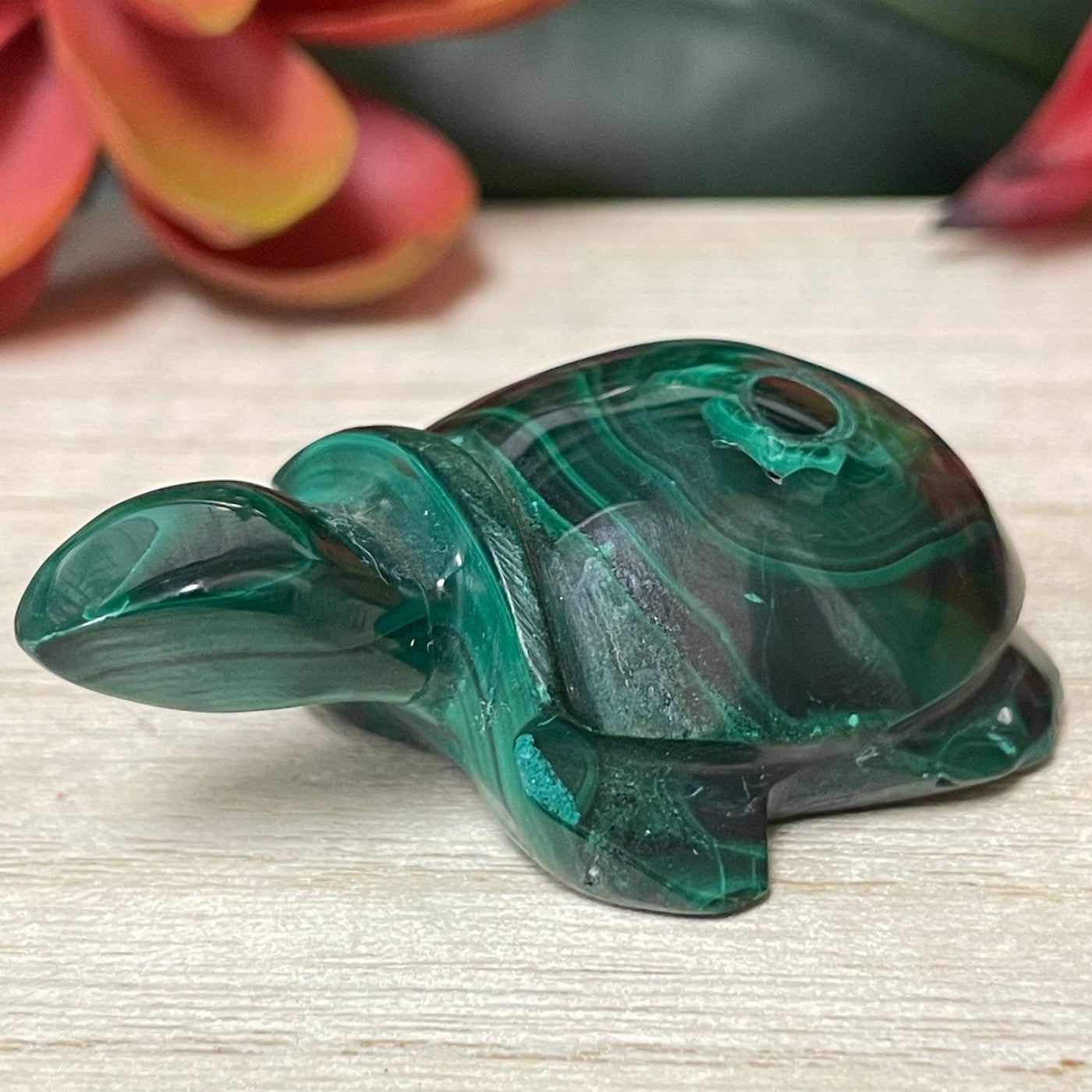 Malachite - Turtle