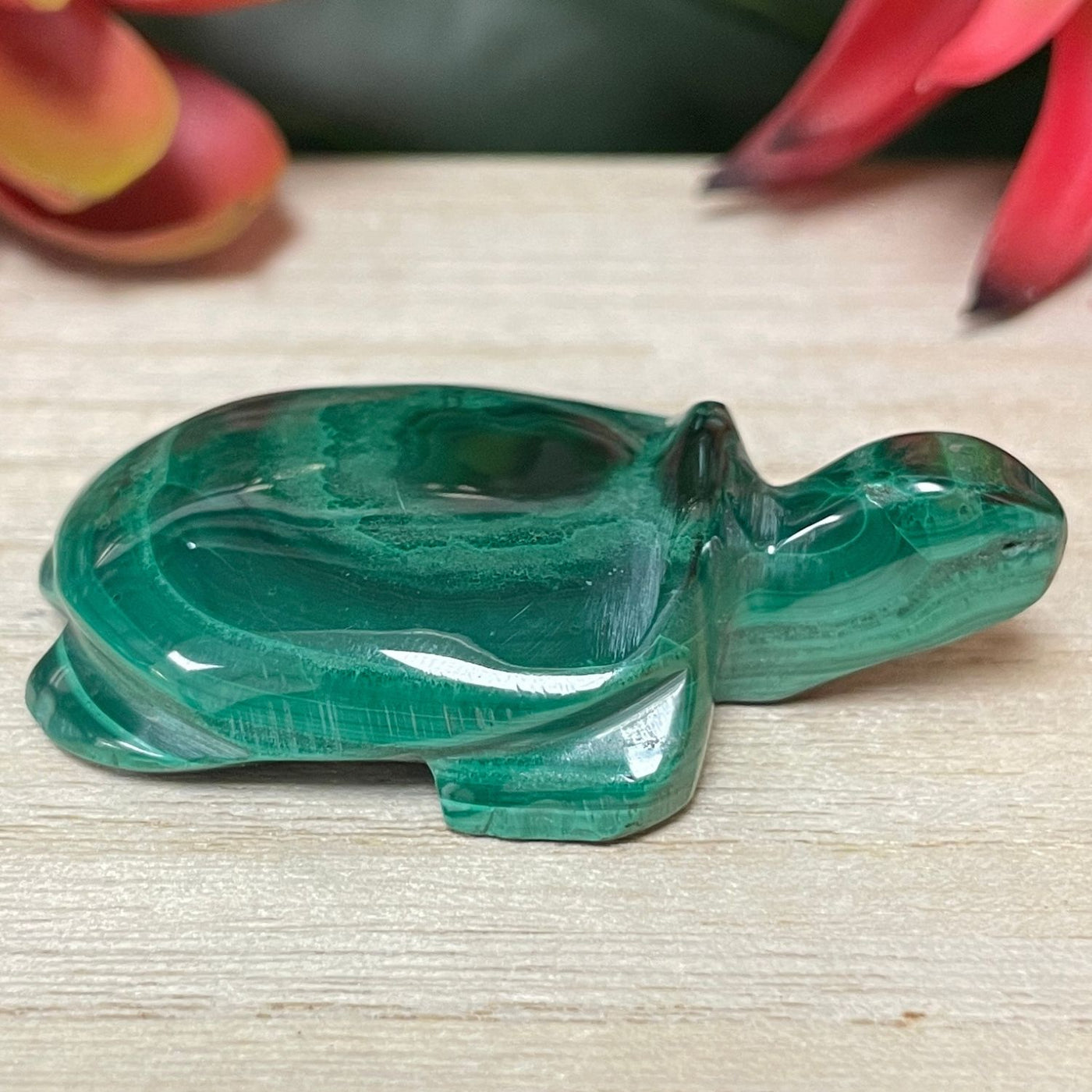 Malachite - Turtle