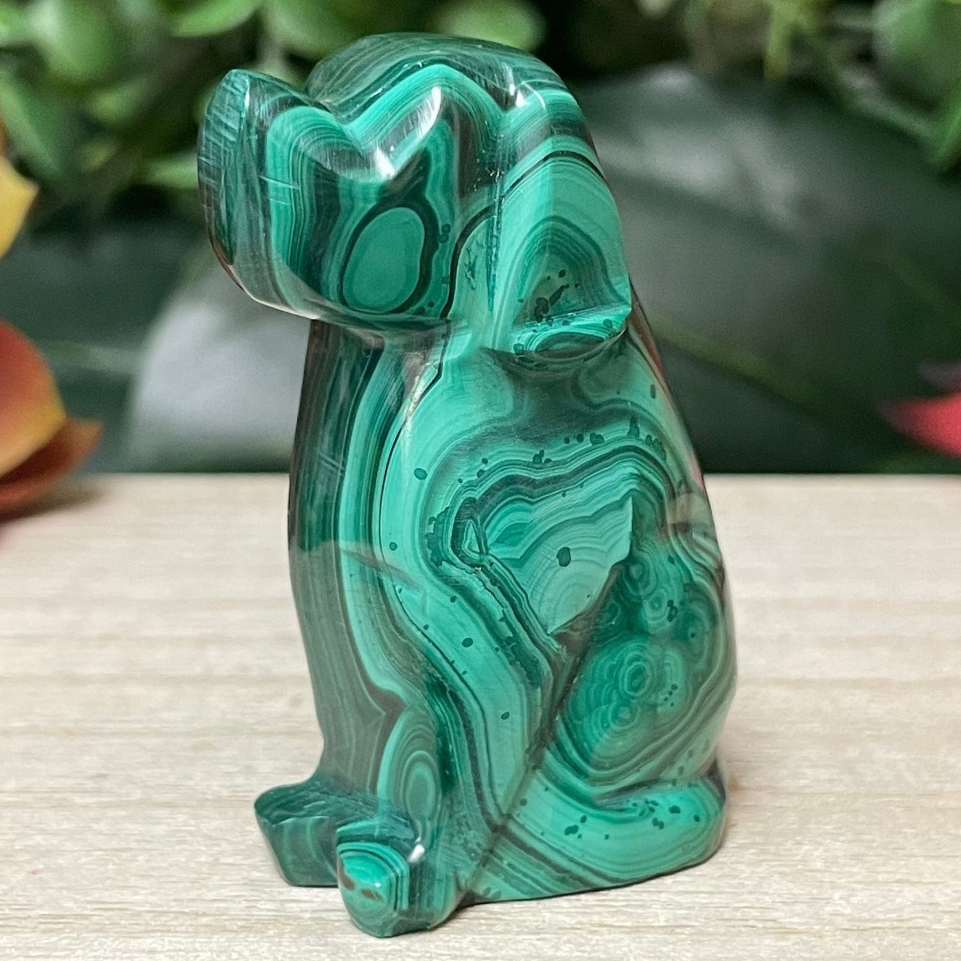 Malachite - Dog